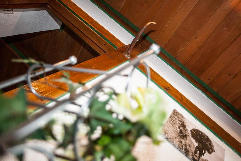 Chalet Appartement Alpenherz Saalbach-Hinterglemm Ruang foto